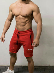 Load image into Gallery viewer, Shorts
