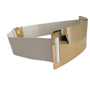 Designer Belts for Woman Gold & Silver Color
