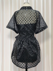 Load image into Gallery viewer, Polka Dot  Sheer Dress
