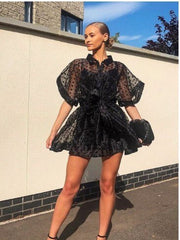 Load image into Gallery viewer, Polka Dot  Sheer Dress
