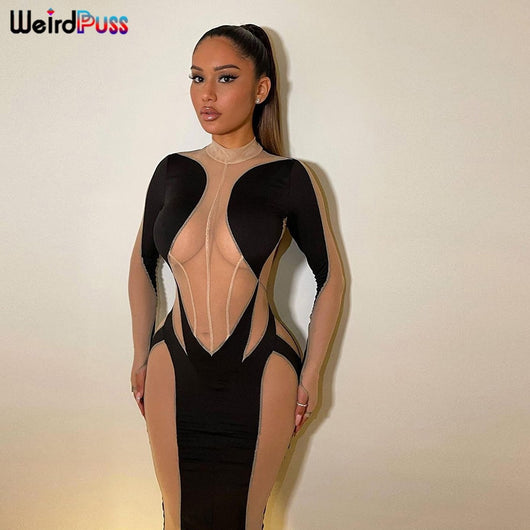 See-Through Bodycon Dress