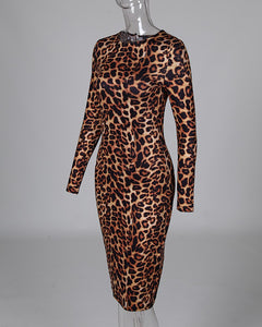 Leopard Print Long Sleeve Dress