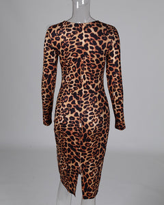 Leopard Print Long Sleeve Dress