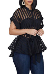 Load image into Gallery viewer, Sheer Striped Top
