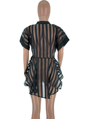 Load image into Gallery viewer, Sheer Striped Top
