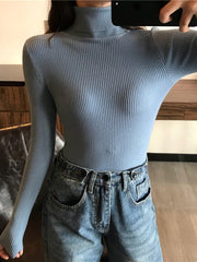 Load image into Gallery viewer, Long Sleeve Turtleneck Sweater
