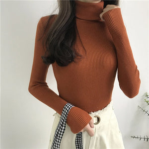 Long Sleeve Turtleneck Sweater