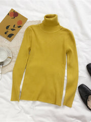Load image into Gallery viewer, Long Sleeve Turtleneck Sweater
