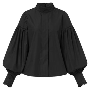 Long Lantern Sleeve Blouse