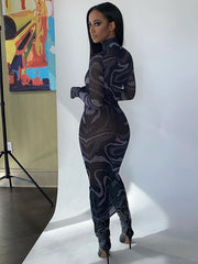 Load image into Gallery viewer, Sheer Bodycon Dress
