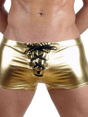 Load image into Gallery viewer, Shiny Shorts
