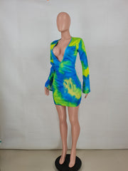 Load image into Gallery viewer, Deep V Neck Dress
