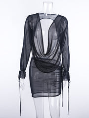 Load image into Gallery viewer, Long-Sleeve Sheer Dress
