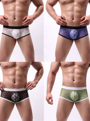 Load image into Gallery viewer, Mesh Underwear
