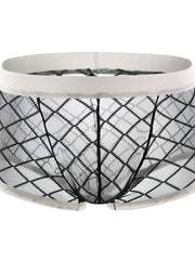 Load image into Gallery viewer, Mesh Underwear
