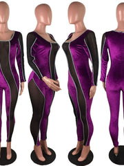 Load image into Gallery viewer, Sheer Velvet Bodycon Jumpsuit
