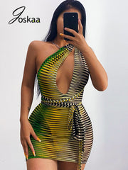 Load image into Gallery viewer, Sheer Striped Dress
