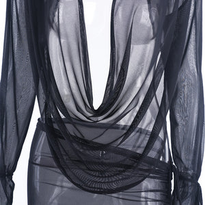 Long-Sleeve Sheer Dress