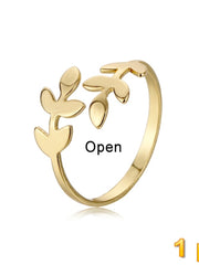 Load image into Gallery viewer, Ring Set
