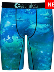 Load image into Gallery viewer, Boxer
