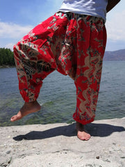 Load image into Gallery viewer, Harem Pants
