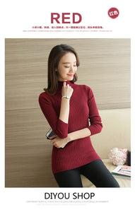 Turtleneck Knitted Sweater