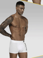 Load image into Gallery viewer, Boxer
