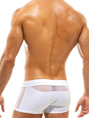 Load image into Gallery viewer, Boxer
