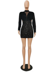 Load image into Gallery viewer, Sequin Long Sleeve Dress
